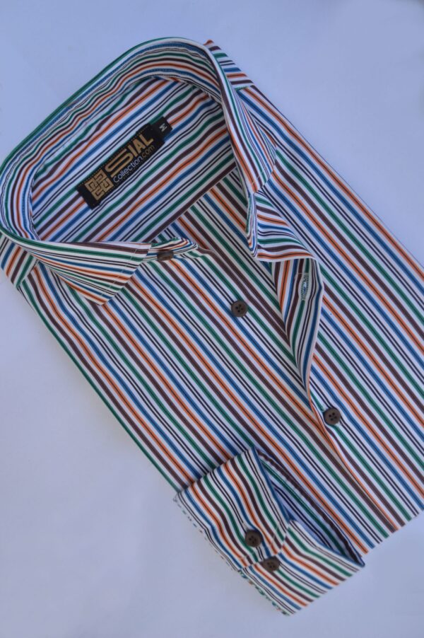 Multi-Pinstripe formal shirt - Image 4