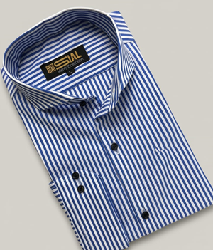 Blue & White Striped Formal Shirt